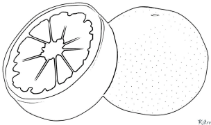 grapefruit Coloring Pages To Print